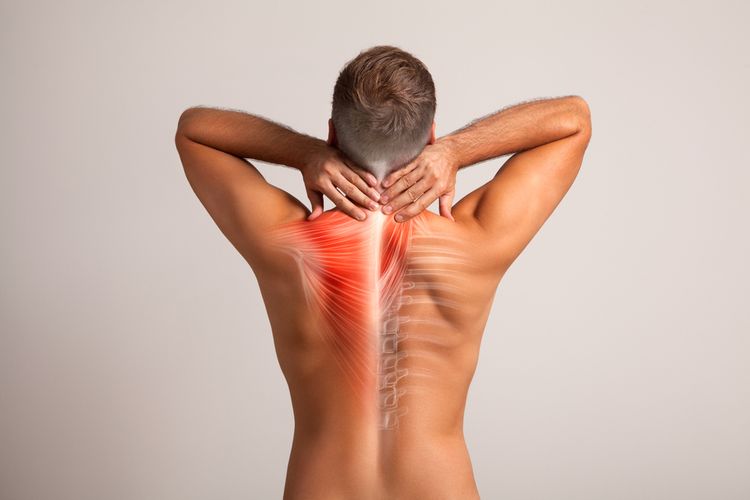 man rubs neck with cross section of spine visible after auto accident injuries